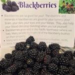 Blackberries with information sheet